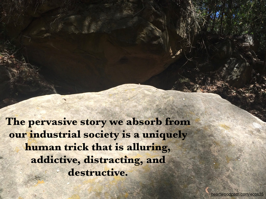 Picture boulder quote The pervasive story we absorb from our industrial society is a uniquely human trick that is alluring, addictive, distracting, and destructive