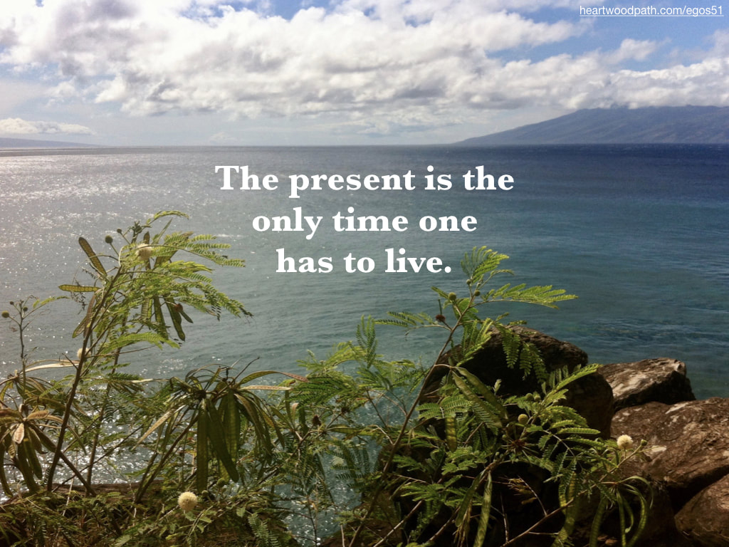 Picture fern ocean quote The present is the only time one has to live
