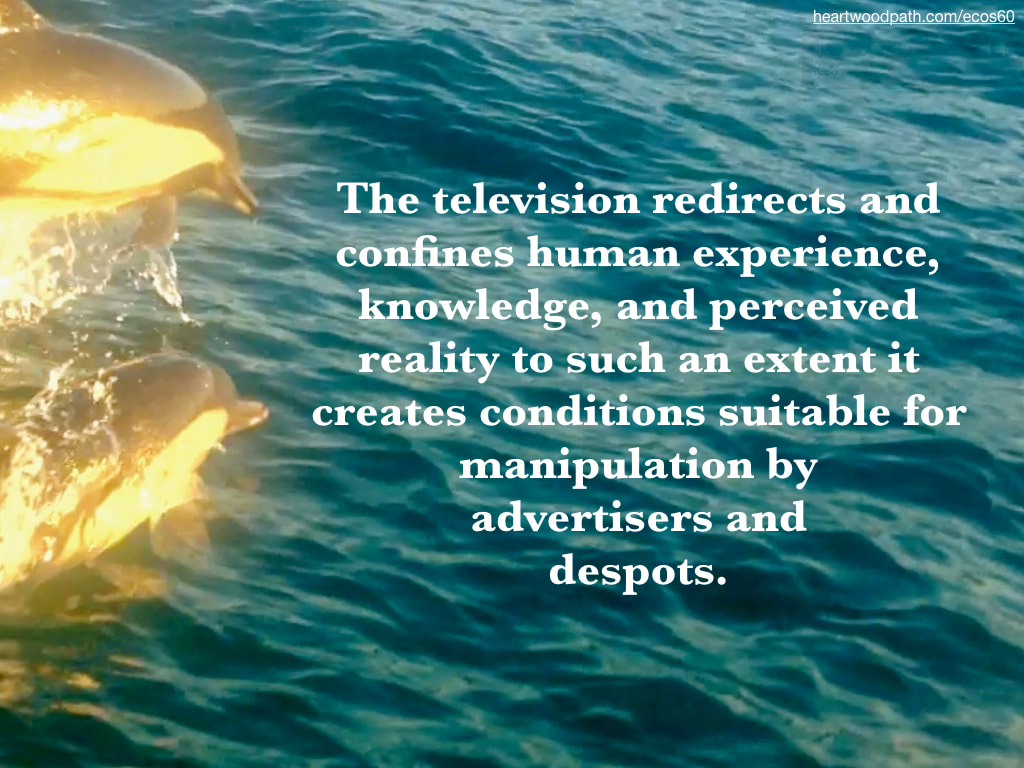 Picture dolphin jump out of ocean quote The television redirects and confines human experience, knowledge, and perceived reality to such an extent it creates conditions suitable for manipulation by advertisers and despots
