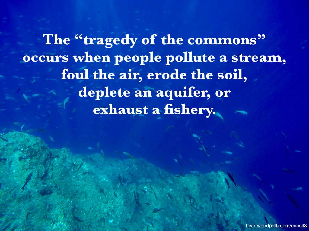 Picture coral reef school fish quote The “tragedy of the commons” occurs when people pollute a stream, foul the air, erode the soil, deplete an aquifer, or exhaust a fishery