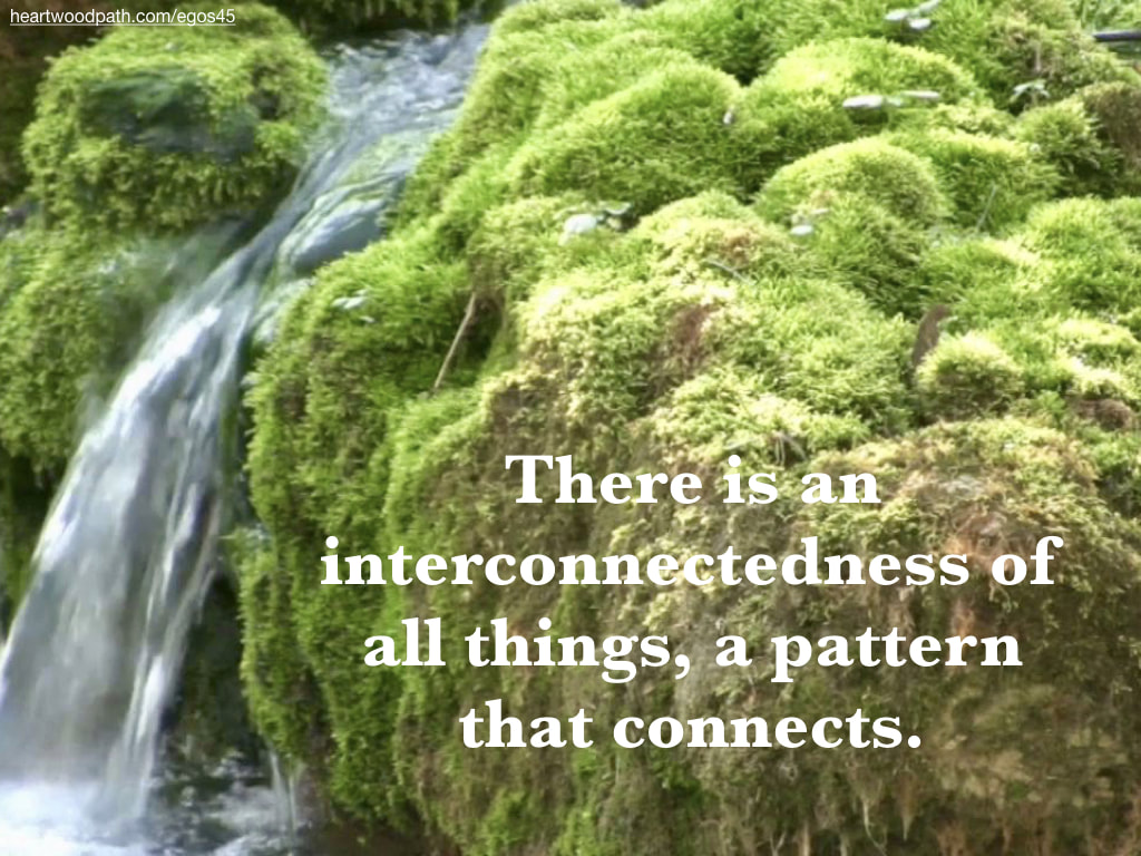 Picture mossy rapids river words There is an interconnectedness of all things, a pattern that connects