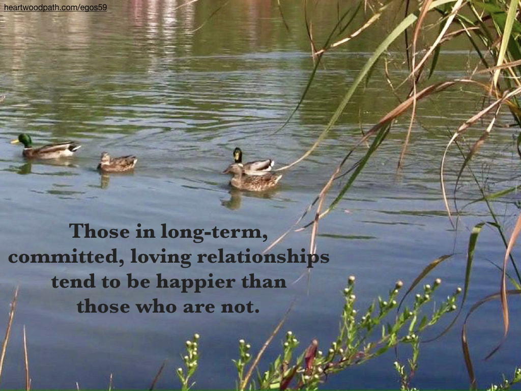 Picture ducks lake quote Those in long-term, committed, loving relationships tend to be happier than those who are not