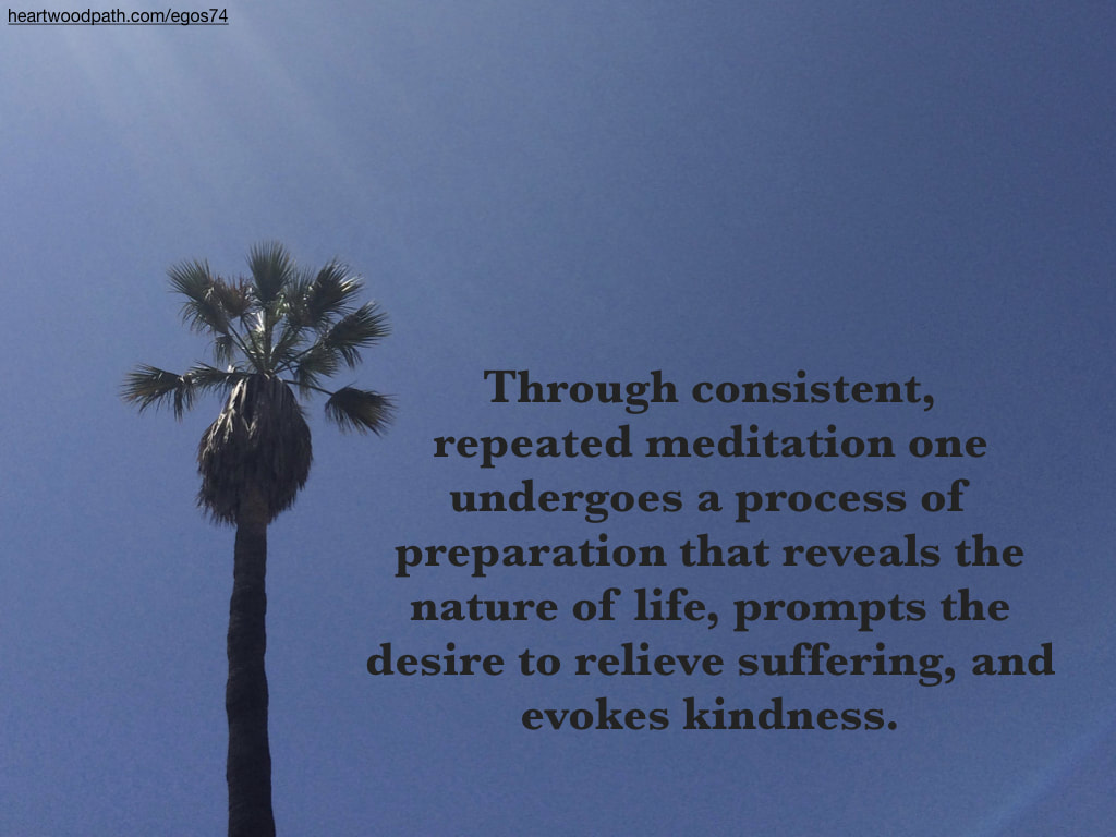 Picture palm tree quote Through consistent, repeated meditation one undergoes a process of preparation that reveals the nature of life, prompts the desire to relieve suffering, and evokes kindness