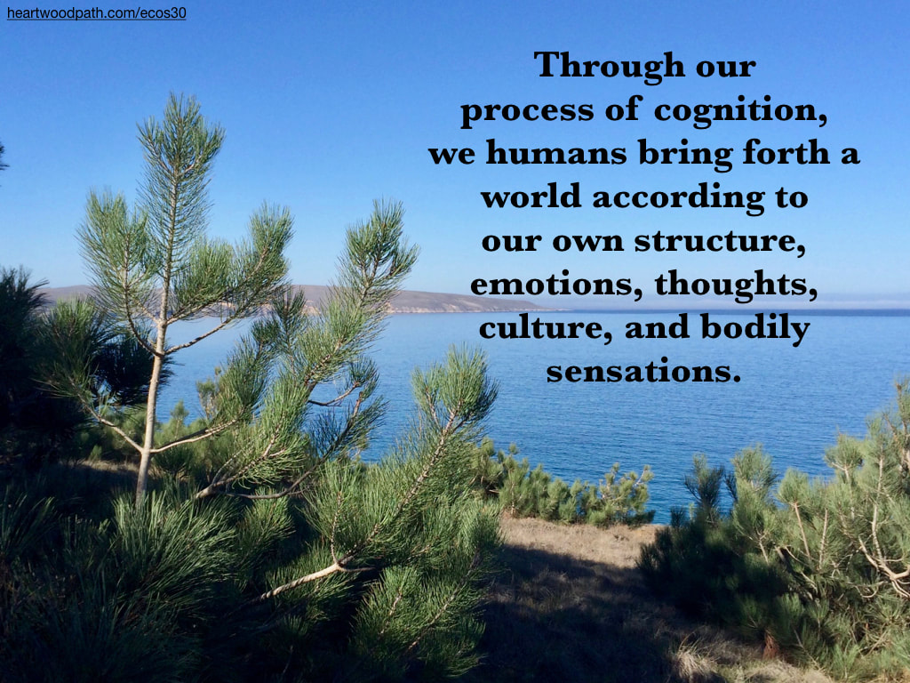 Picture torrey pines ocean island quote Through our process of cognition, we humans bring forth a world according to our own structure, emotions, thoughts, culture, and bodily sensations