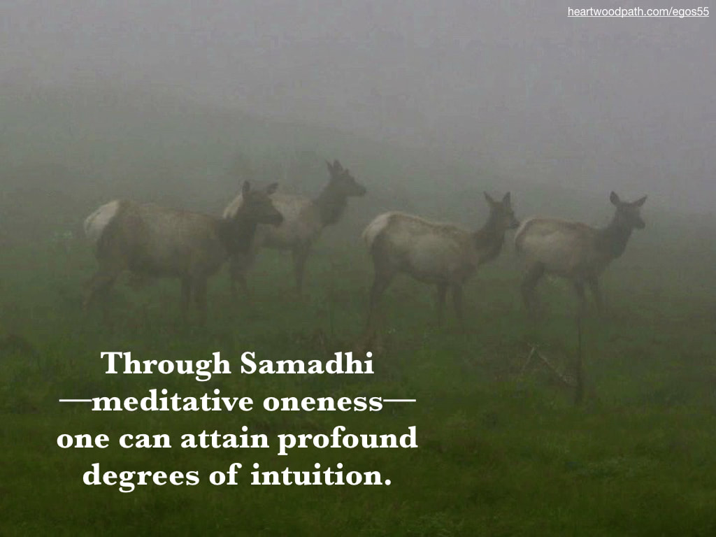 Picture deer quote Through Samadhi––meditative oneness––one can attain profound degrees of intuition