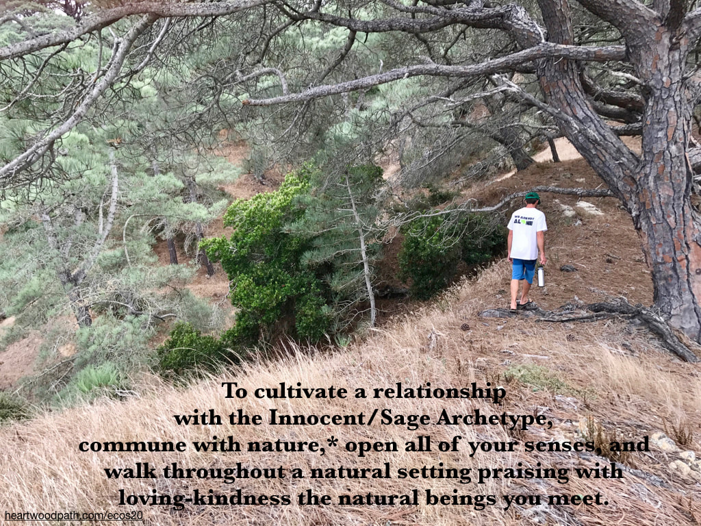 Picture connecting with nature personal growth activity To cultivate a relationship with the Innocent/Sage Archetype, commune with nature,* open all of your senses, and walk throughout a natural setting praising with loving-kindness the natural beings you meet