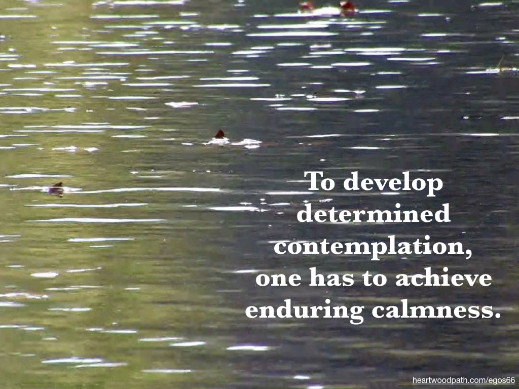 Picture reflection river quote To develop determined contemplation, one has to achieve enduring calmness