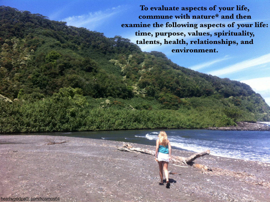 Picture person connecting with nature doing personal growth activity - To evaluate aspects of your life, commune with nature* and then examine the following aspects of your life: time, purpose, values, spirituality, talents, health, relationships, and environment