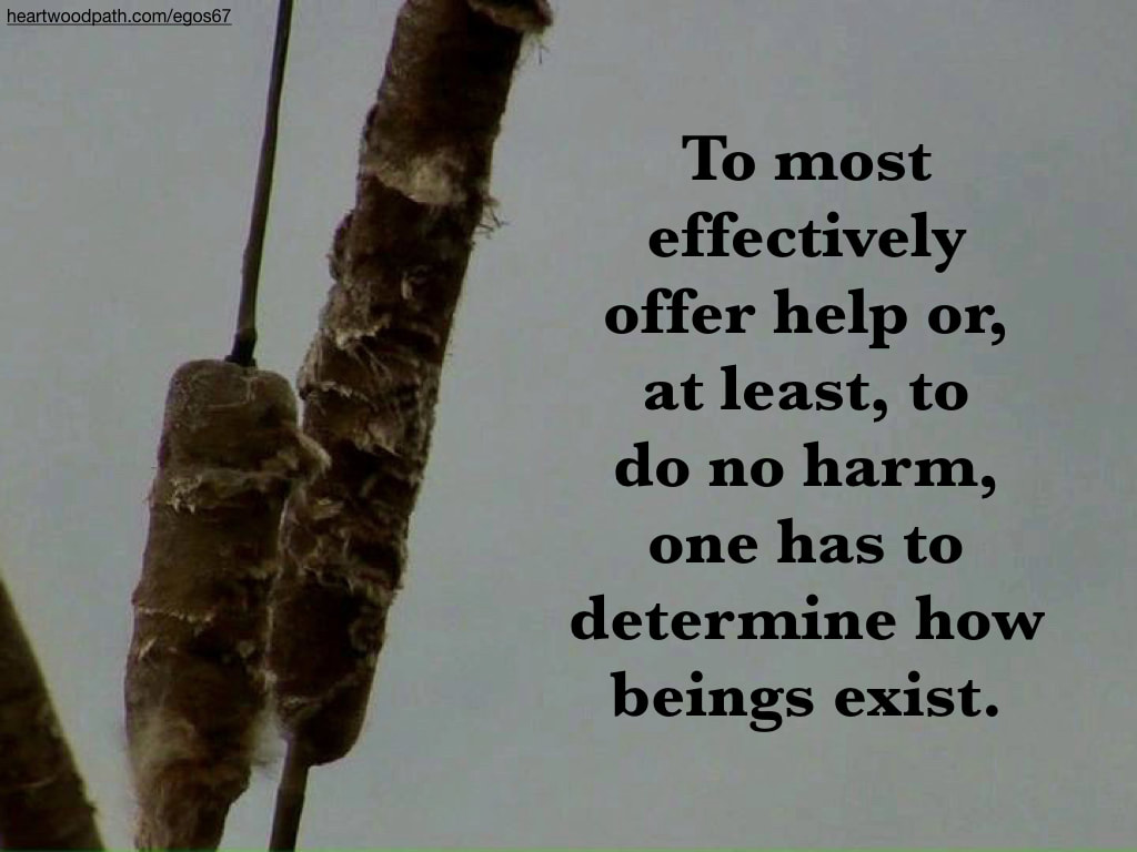 Picture cattails quote To most effectively offer help or, at least, to do no harm, one has to determine how beings exist