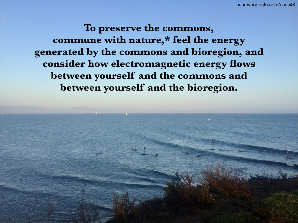Picture connecting with nature ecopsychology activity To preserve the commons, commune with nature,* feel the energy generated by the commons and bioregion, and consider how electromagnetic energy flows between yourself and the commons and between yourself and the bioregion