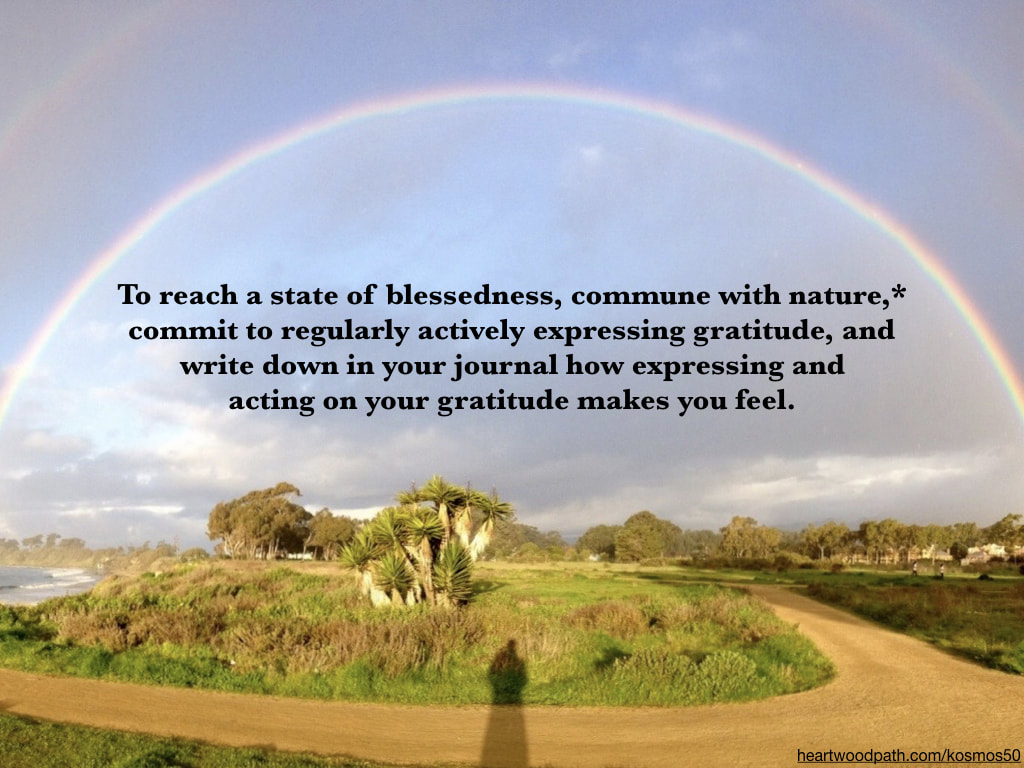 Picture person connecting with nature doing heartwood path activity - To reach a state of blessedness, commune with nature,* commit to regularly actively expressing gratitude, and write down in your journal how expressing and acting on your gratitude makes you feel