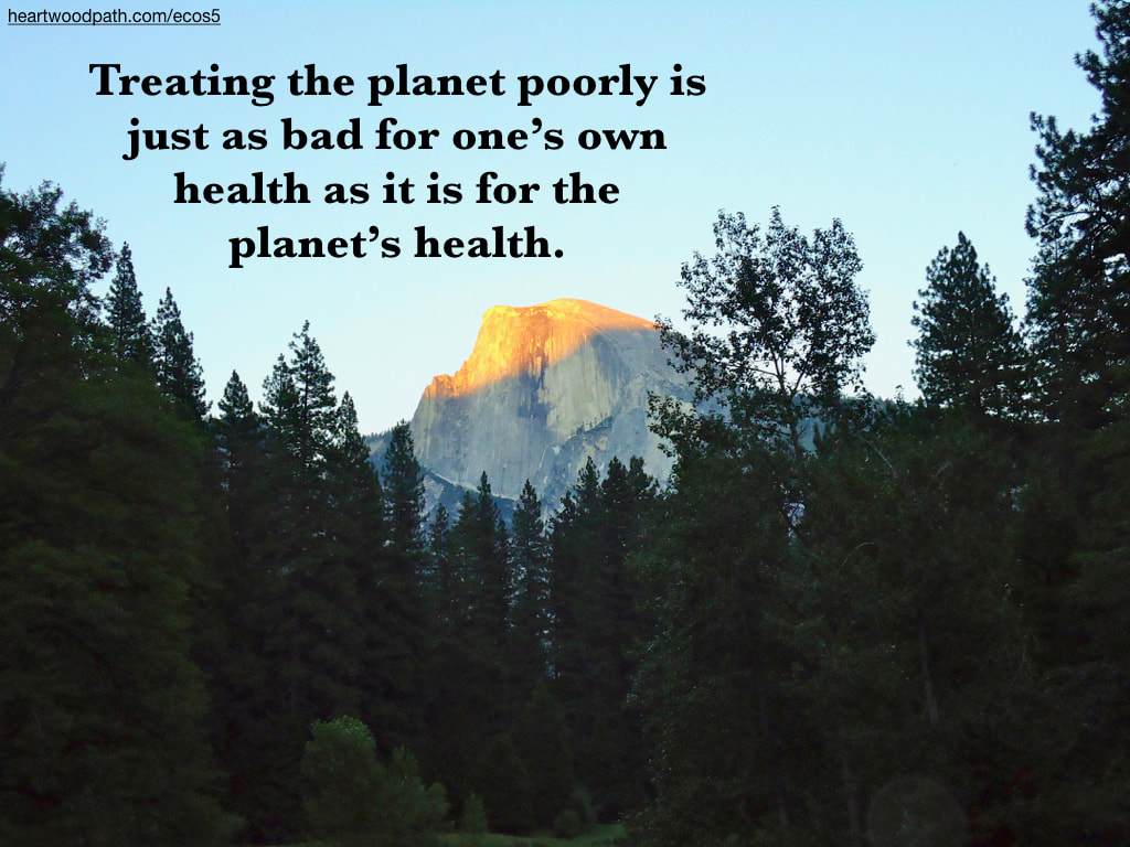 Picture yosemite quote Treating the planet poorly is just as bad for one’s own health as it is for the planet’s health