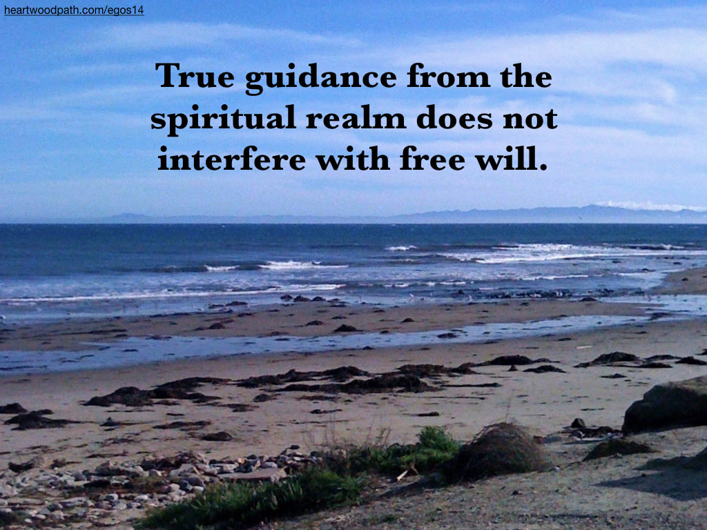 Picture beach island quote True guidance from the spiritual realm does not interfere with free will