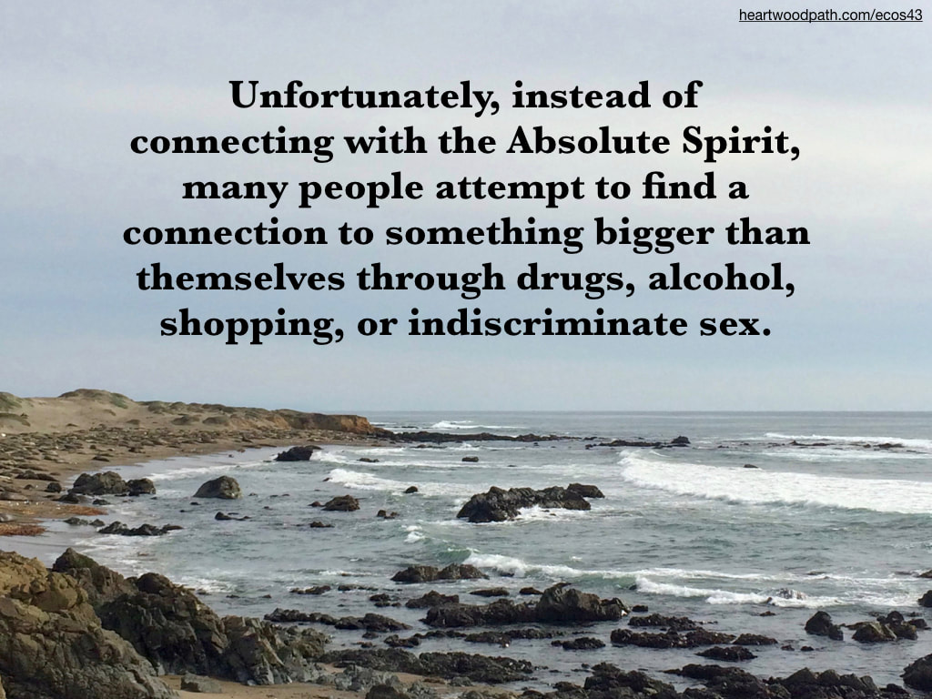 Picture elephant seals beach quote Unfortunately, instead of connecting with the Absolute Spirit, many people attempt to find a connection to something bigger than themselves through drugs, alcohol, shopping, or indiscriminate sex