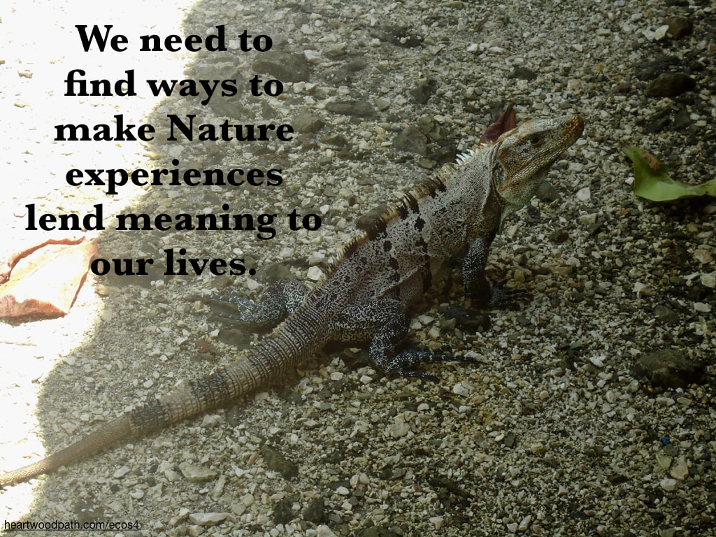 Picture iguana quote We need to find ways to make Nature experiences lend meaning to our lives