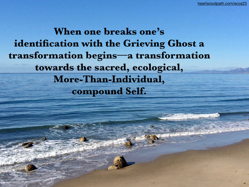Picture ocean coast beach quote When one breaks one’s identification with the Grieving Ghost a transformation begins--a transformation towards the sacred, ecological, More-Than-Individual, compound Self.