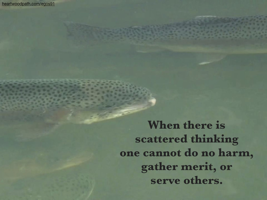 Picture steelhead trout quote When there is scattered thinking one cannot do no harm, gather merit, or serve others