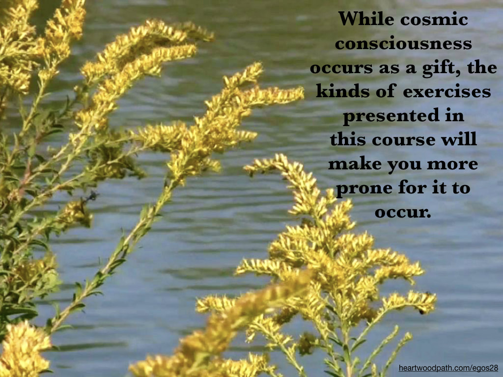 Picture yellow flowers river quote While cosmic consciousness occurs as a gift, the kinds of exercises presented in this course will make you more prone for it to occur