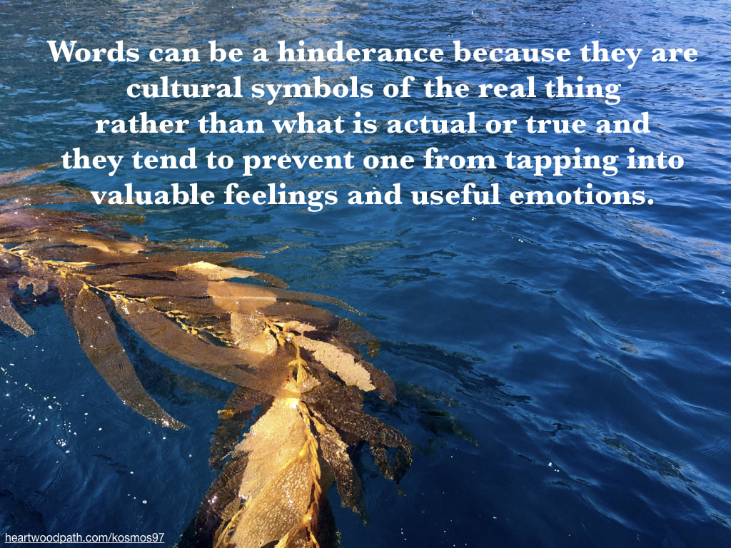Picture kelp strand quote Words can be a hinderance because they are cultural symbols of the real thing rather than what is actual or true and they tend to prevent one from tapping into valuable feelings and useful emotions