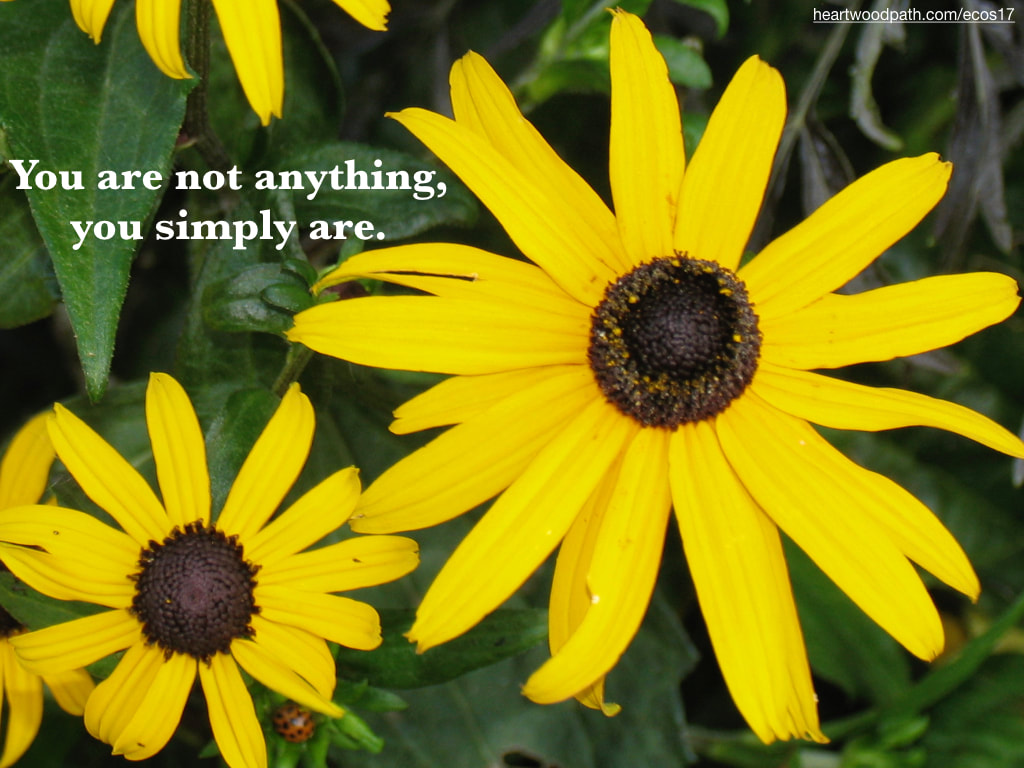 Picture yellow flower quote You are not anything, you simply are