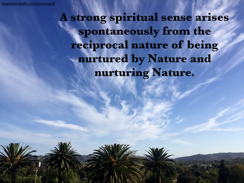 Picture of palm trees and clouds and words - A strong spiritual sense arises spontaneously from the reciprocal nature of being nurtured by Nature and nurturing Nature