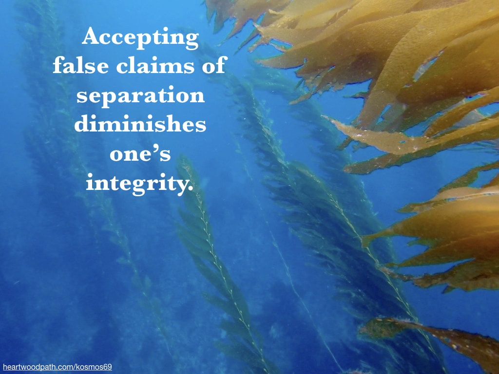 Picture kelp forest underwater with words - Accepting false claims of separation diminishes one’s integrity