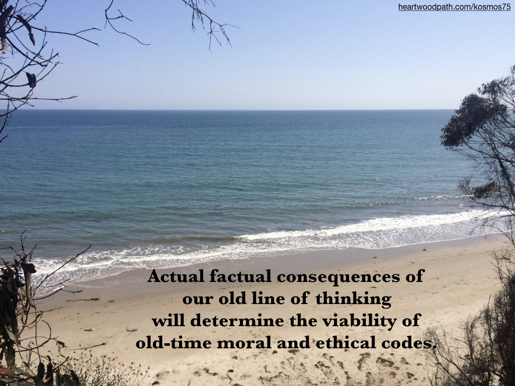 Picture beach and ocean view with quote - Actual factual consequences of our old line of thinking will determine the viability of old-time moral and ethical codes
