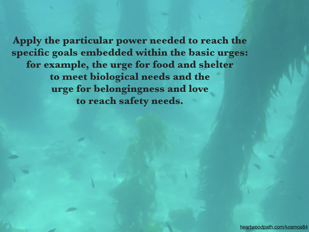 Picture underwater seaweed fish with words - Apply the particular power needed to reach the specific goals embedded within the basic urges: for example, the urge for food and shelter to meet biological needs and the urge for belongingness and love to reach safety needs