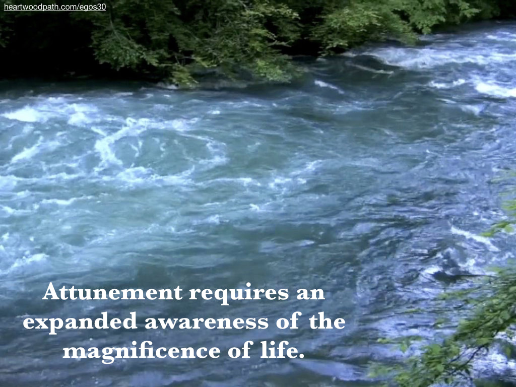 picture stream quote Attunement requires an expanded awareness of the magnificence of life