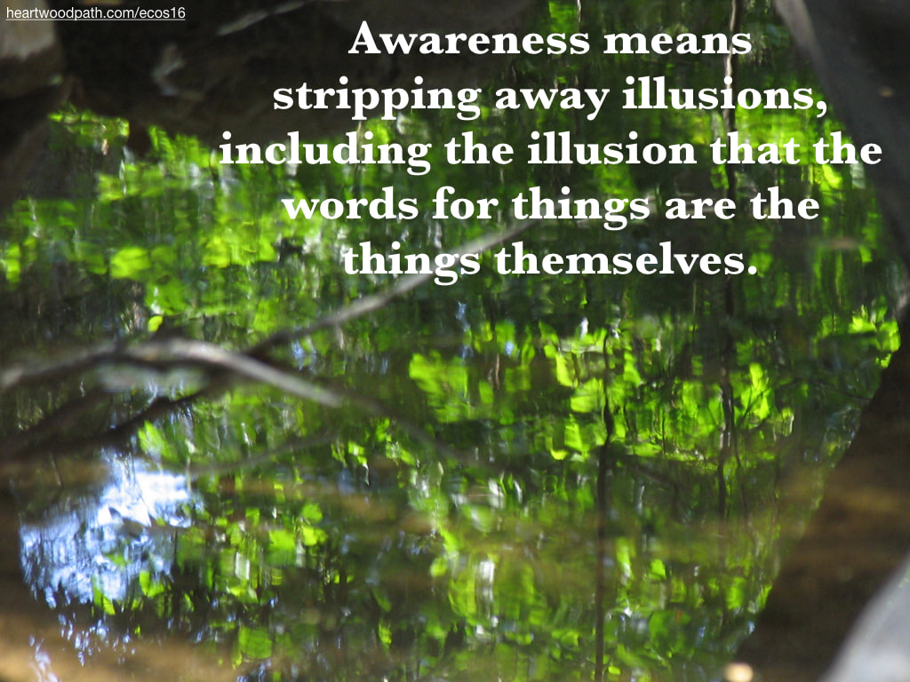 Picture reflection green trees river quote Awareness means stripping away illusions, including the illusion that the words for things are the things themselves