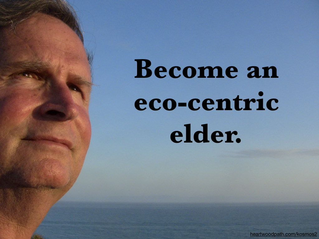 life coach don pierce quote Become an eco-centric elder