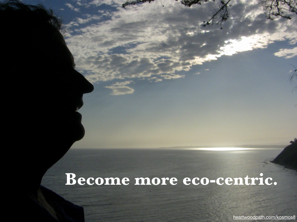 life coach don pierce quote Become more eco-centric
