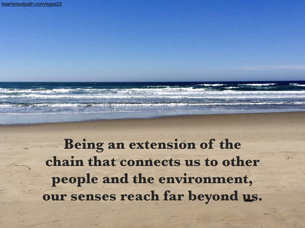 Picture beach quote Being an extension of the chain that connects us to other people and the environment, our senses reach far beyond us