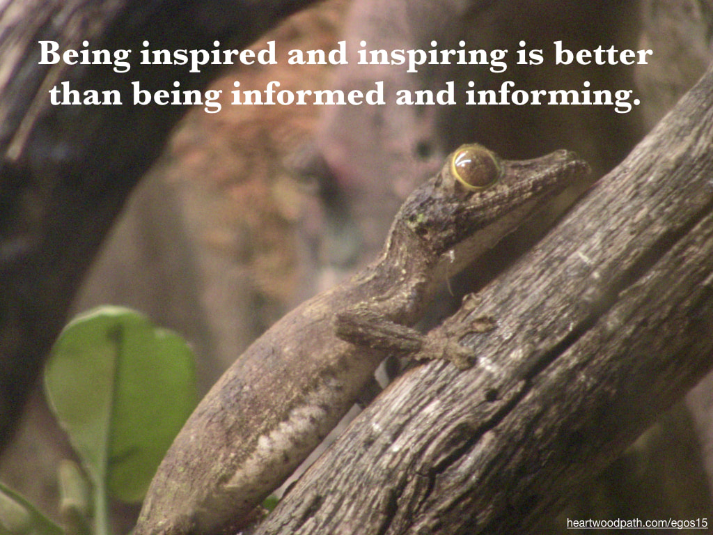 Picture gecko quote Being inspired and inspiring is better than being informed and informing