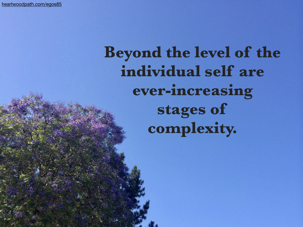 Picture jacaranda tree quote Beyond the level of the individual self are ever-increasing stages of complexity