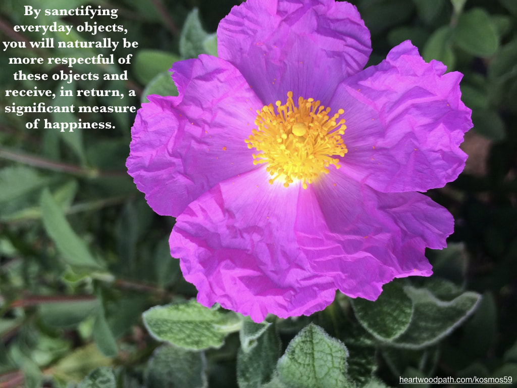 picture pink flower with words - By sanctifying everyday objects, you will naturally be more respectful of these objects and receive, in return, a significant measure of happiness