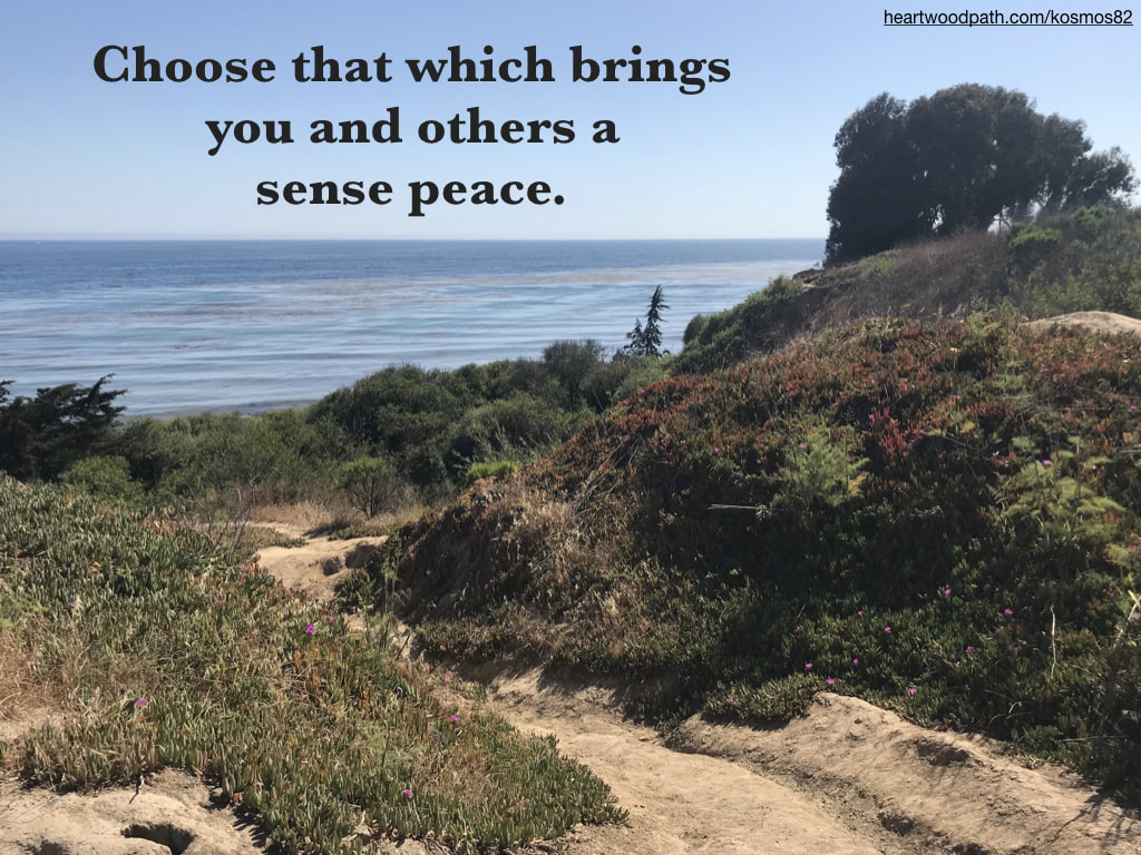Picture nature trail to beach with words - Choose that which brings you and others a sense peace
