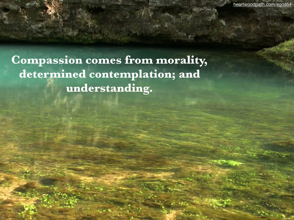 Picture crystal clear river quote Compassion comes from morality, determined contemplation; and understanding.
