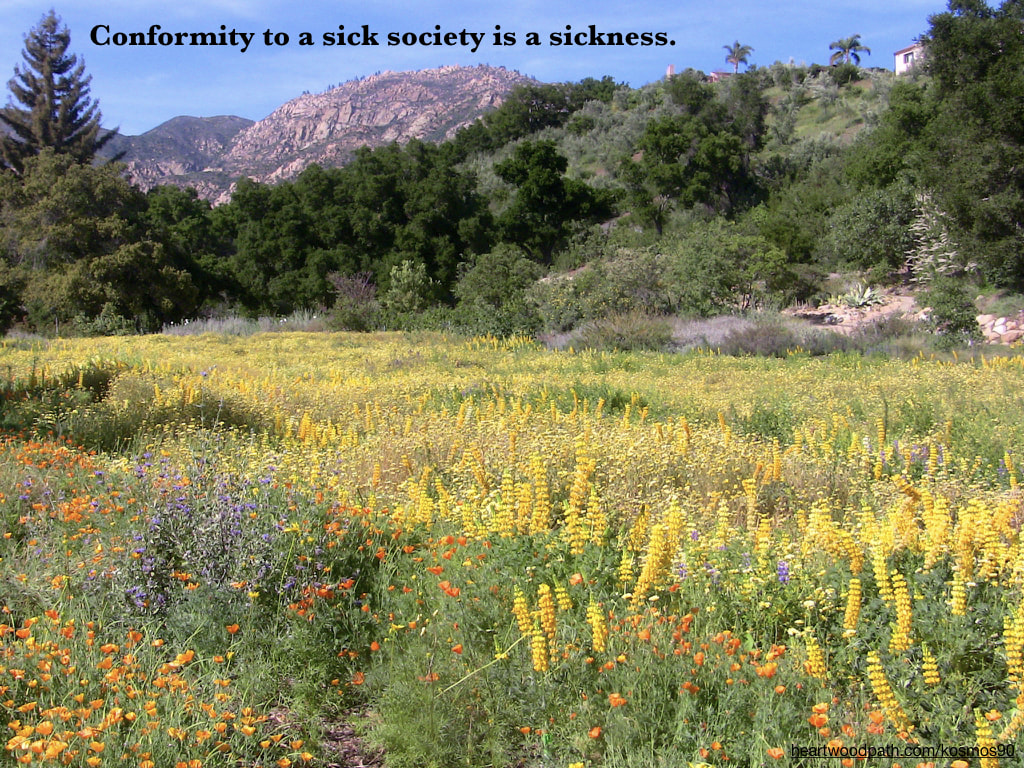 Picture field flowers with trees and mountains quote Conformity to a sick society is a sickness