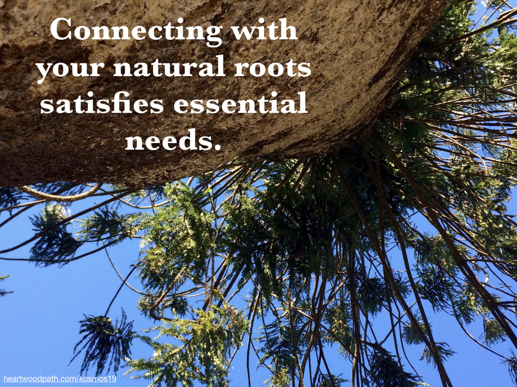 picture of tree with words Connecting with your natural roots satisfies essential needs