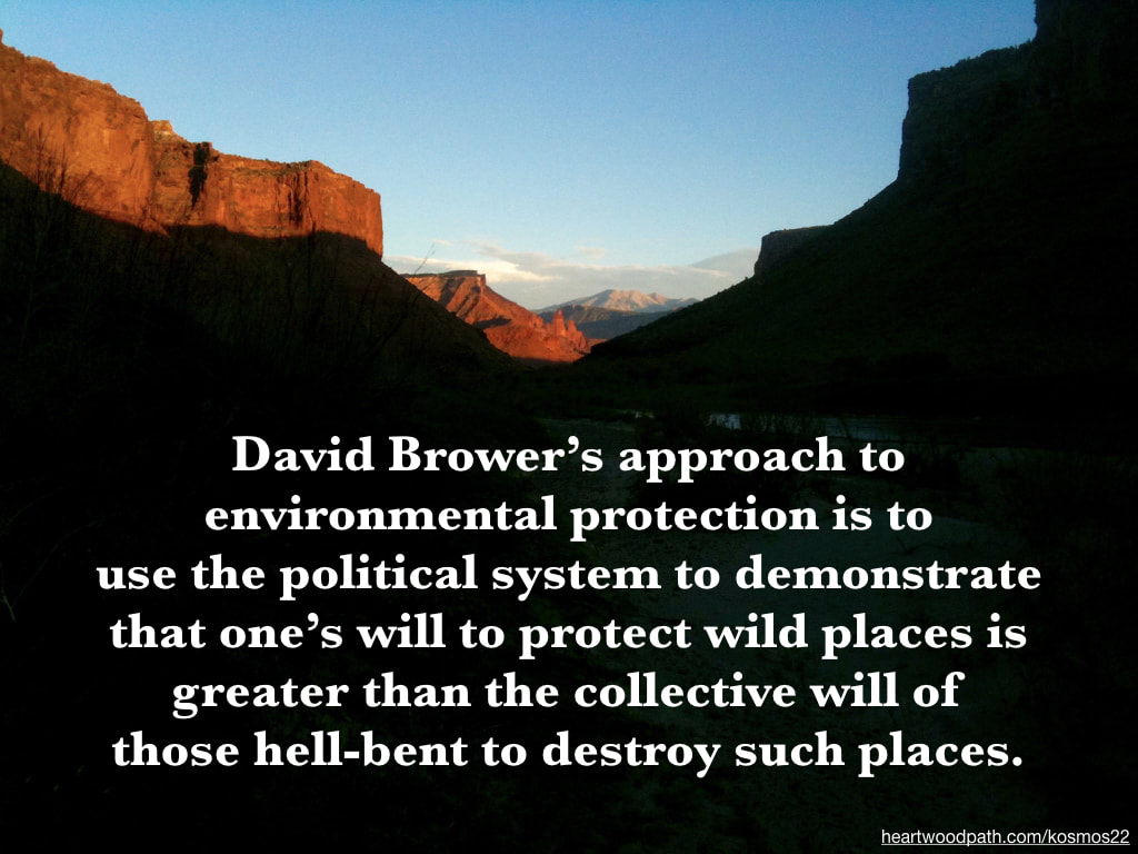 photo of a canyon and quote David Brower’s approach to environmental protection is to use the political system to demonstrate that one’s will to protect wild places is greater than the collective will of those hell-bent to destroy such places