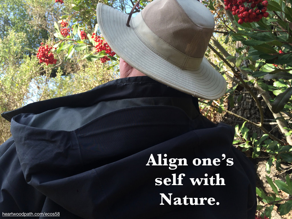 picture-don-pierce-life-coach-saying-Align one’s self with Nature