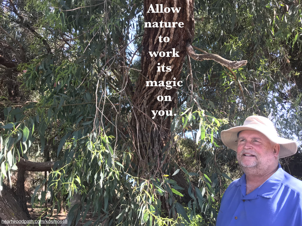 picture-of-life-coach-don-pierce-saying-Allow nature to work its magic on you