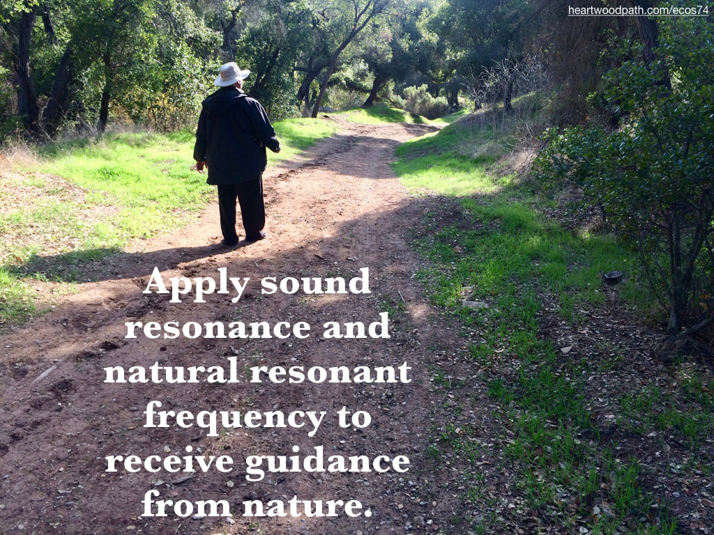 picture-don-pierce-life-coach-saying-Apply sound resonance and natural resonant frequency to receive guidance from nature