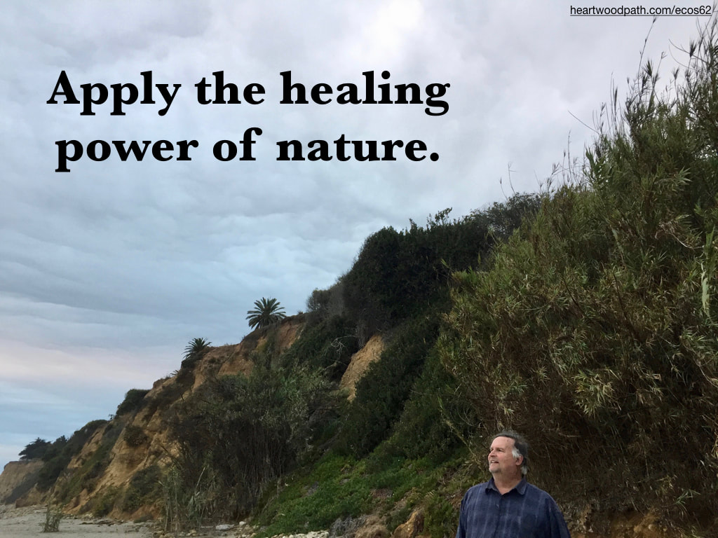 picture-don-pierce-life-coach-saying-Apply the healing power of nature