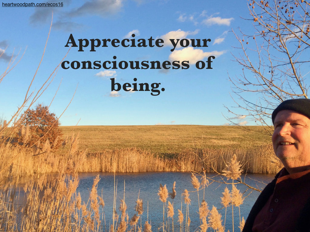 picture-don-pierce-life-coach-saying-Appreciate your consciousness of being