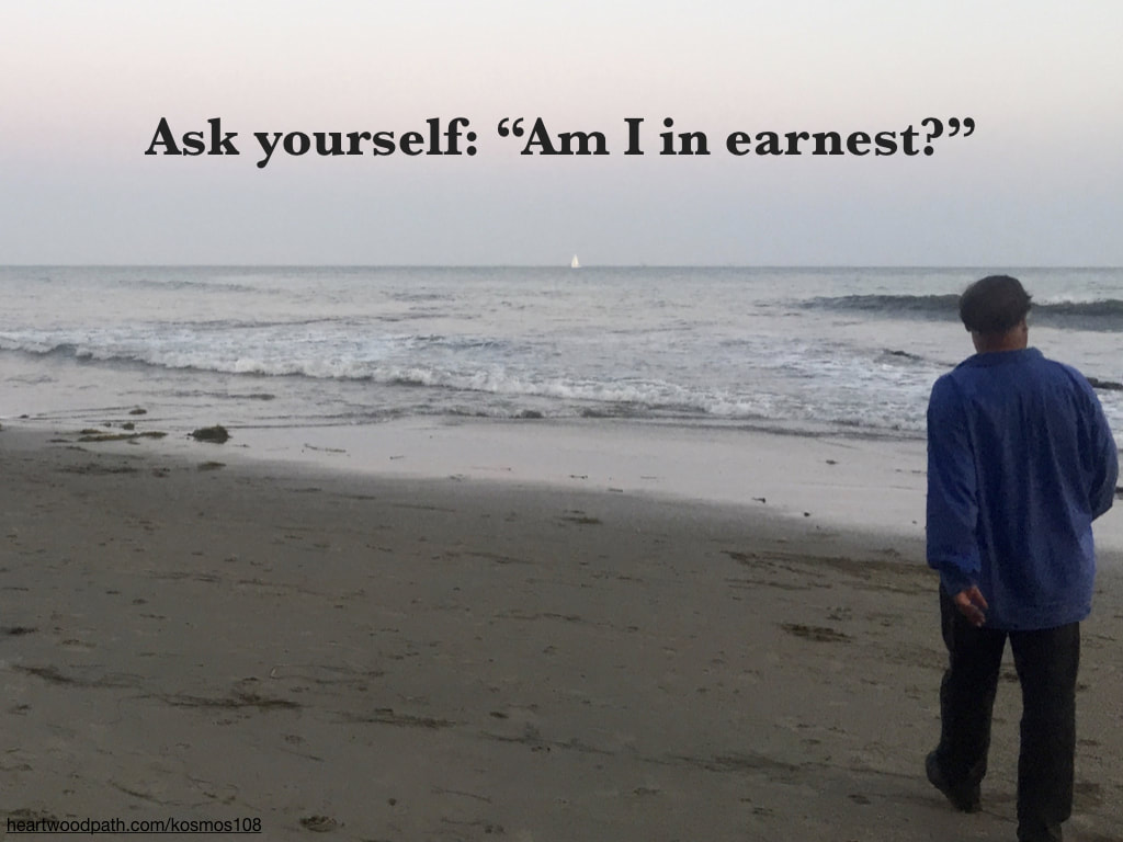 picture-life-coach-don-pierce-saying-Ask yourself: “Am I in earnest?”