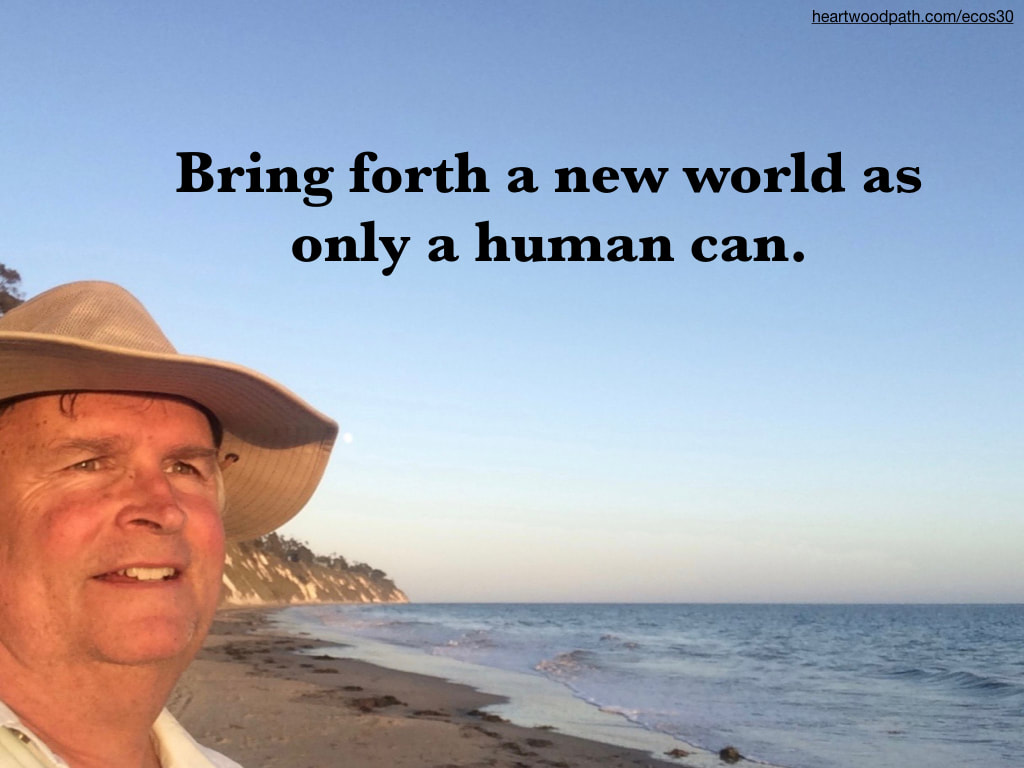 picture-don-pierce-life-coach-saying-Bring forth a new world as only a human can