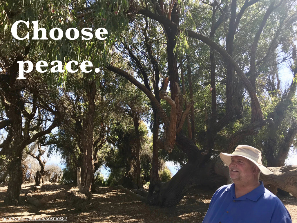 picture-life-coach-don-pierce-saying-Choose peace