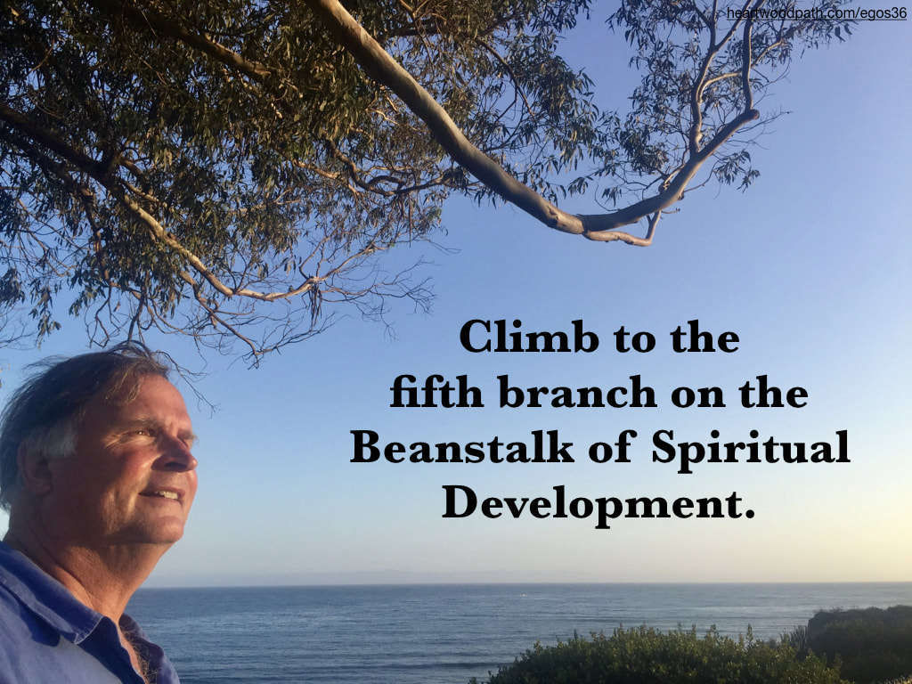 picture-life-coach-don-pierce-saying-Climb to the fifth branch on the Beanstalk of Spiritual Development